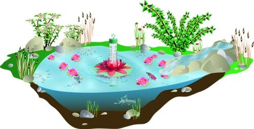 Плавающий термометр FIAP Lotus Active - 40 евро | Фото - 0