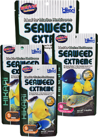 SEAWEED EXTREME