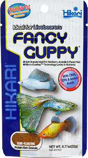 FANCY GUPPY