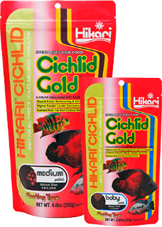 CICHLID GOLD | Фото - 0